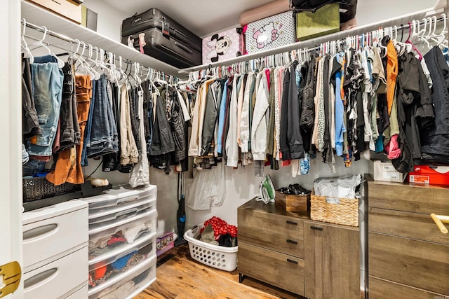 walk in closet featuring wood-type flooring