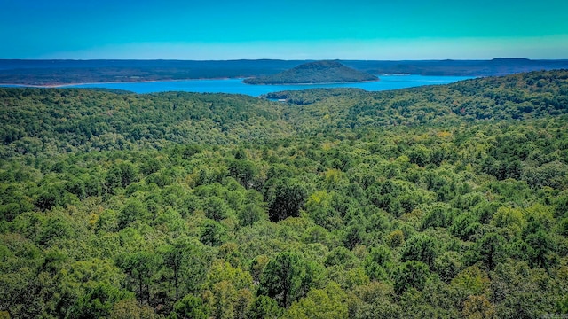 birds eye view of property featuring a water and mountain view