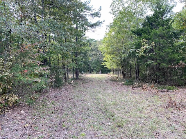 545 Sandy Creek Rd, Oxford AR, 72565 land for sale