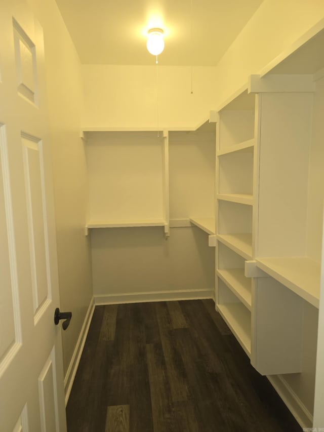 walk in closet with dark wood-type flooring