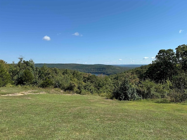 Listing photo 3 for 88.43ACRES Watersedge Dr, Edgemont AR 72044