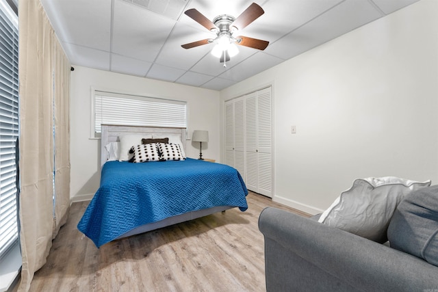 bedroom featuring light hardwood / wood-style flooring, a closet, ceiling fan, and a paneled ceiling