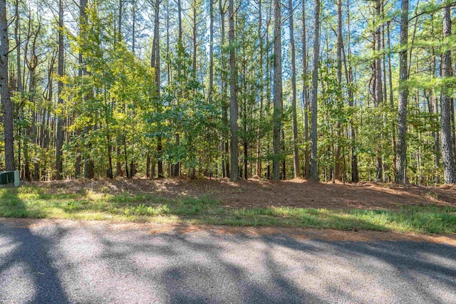 3 Otera Ln, Hot Springs Village AR, 71909 land for sale