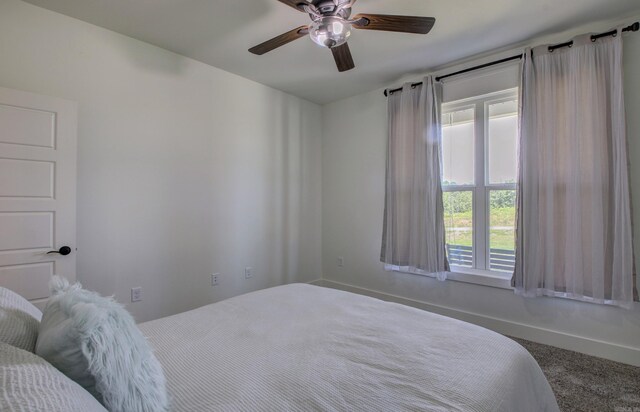 carpeted bedroom with ceiling fan and multiple windows