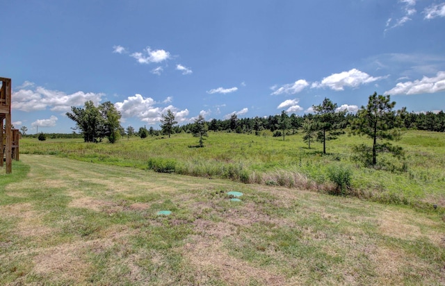 view of yard with a rural view