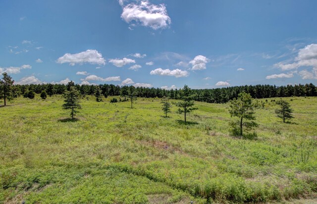 view of nature featuring a rural view