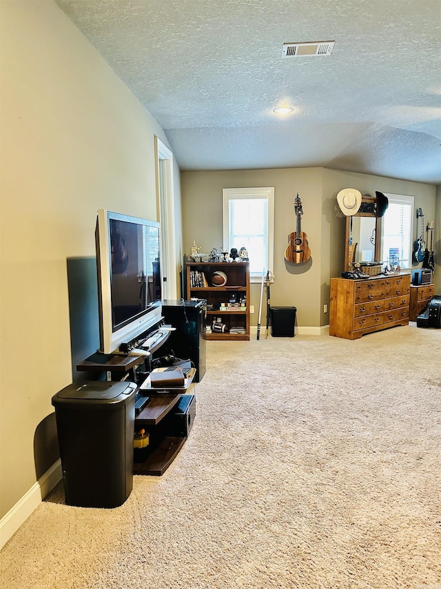 living room featuring a wealth of natural light, a textured ceiling, and carpet floors