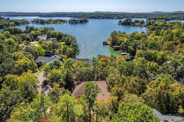 bird's eye view with a water and mountain view