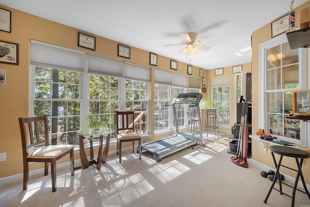 sunroom / solarium featuring carpet and baseboards