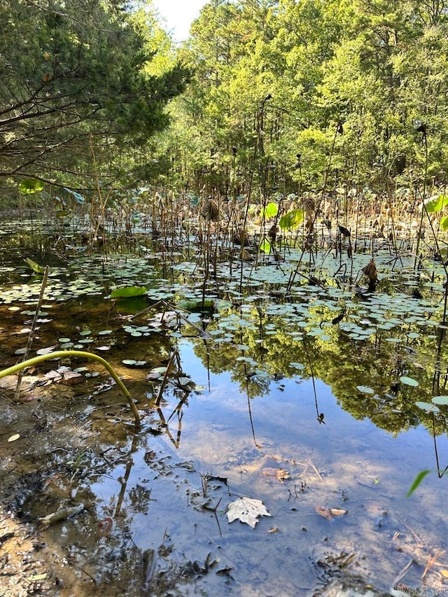 water view