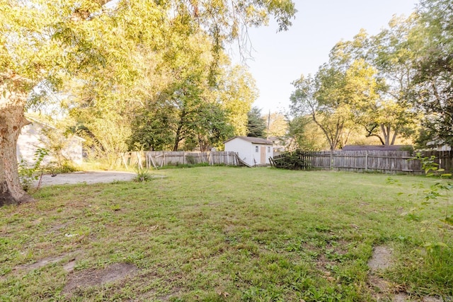 view of yard with a storage unit