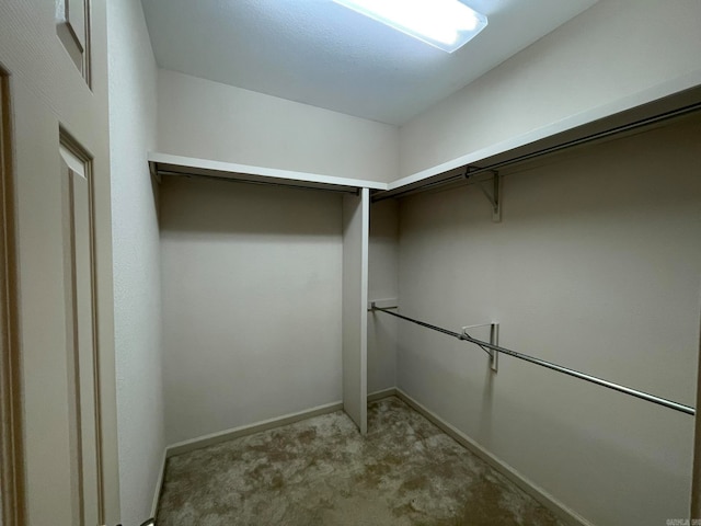 spacious closet with light carpet