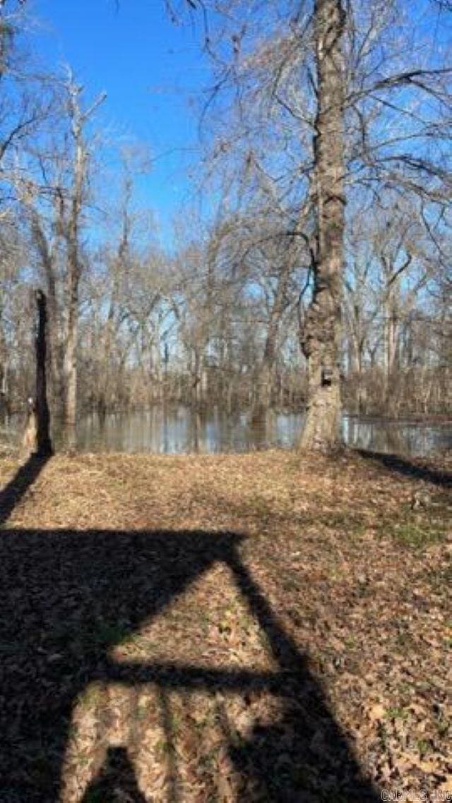 view of yard featuring a water view