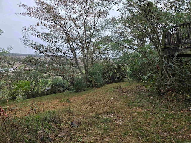 view of yard featuring a deck