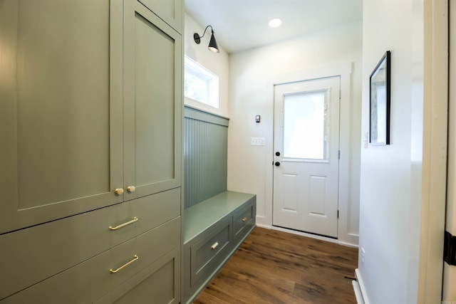 mudroom with dark hardwood / wood-style floors