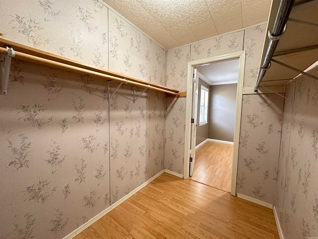 walk in closet with wood-type flooring