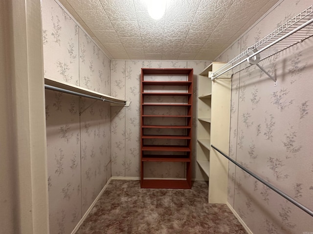 spacious closet with dark carpet