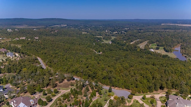 13908 Ridge Point Ln, Roland AR, 72135 land for sale