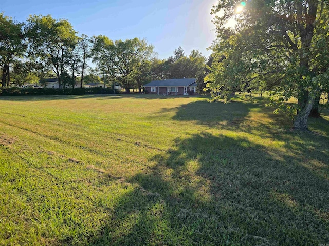 view of yard