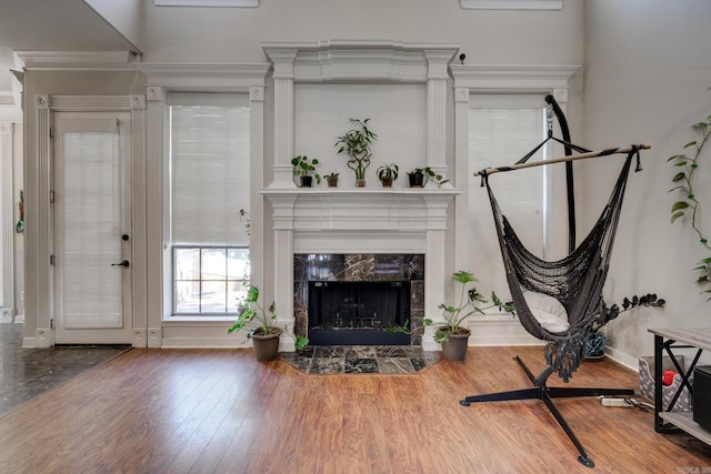 living room with hardwood / wood-style floors and a high end fireplace