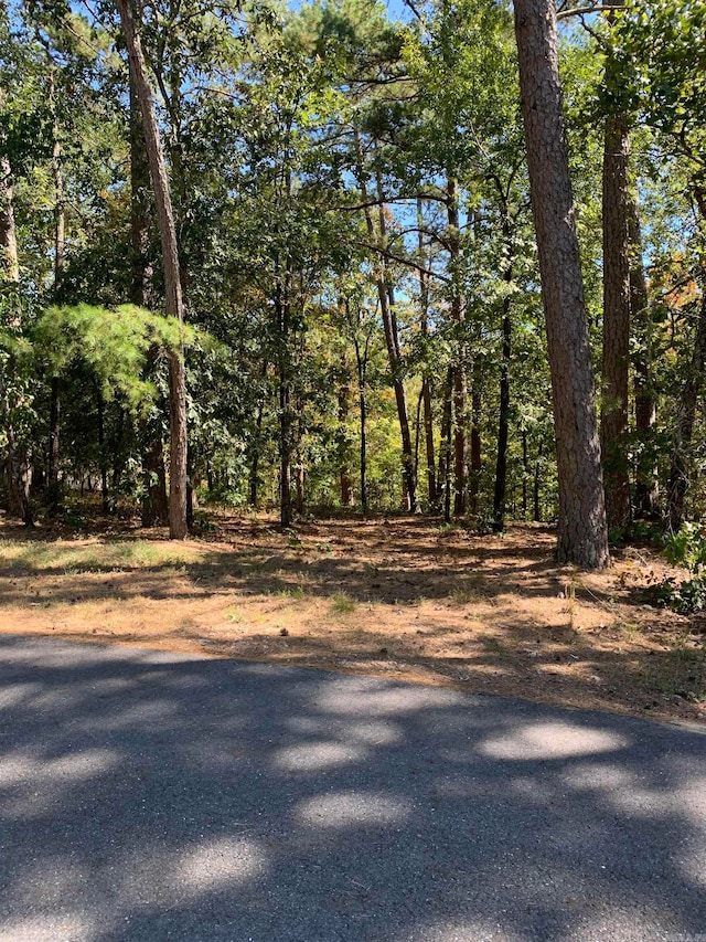 8 Alava Way, Hot Springs Village AR, 71909 land for sale