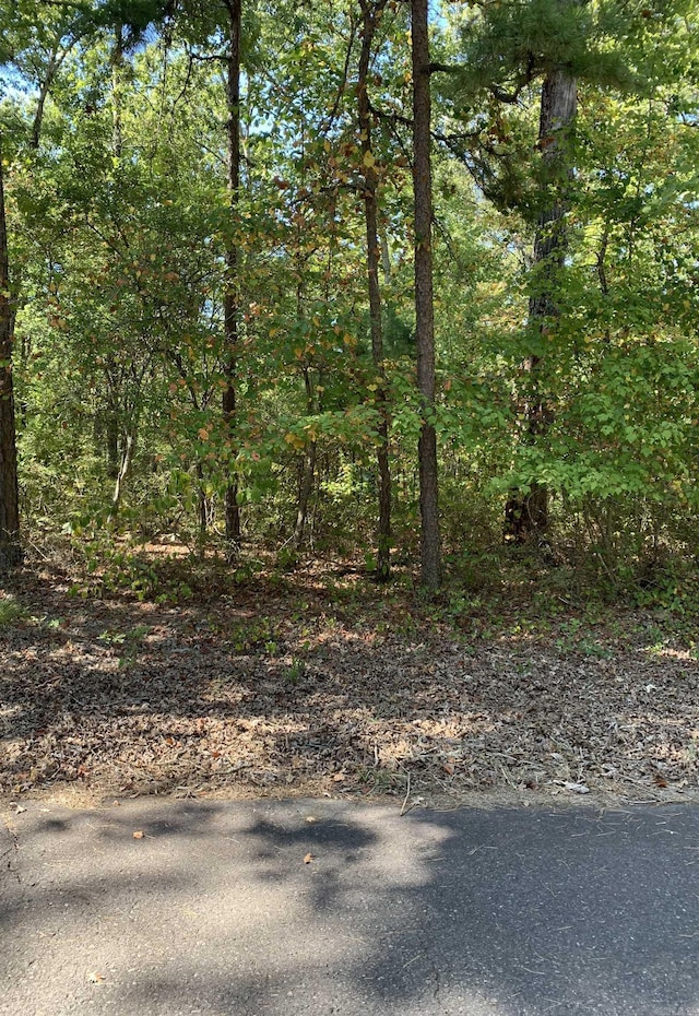 2 Fino Ln, Hot Springs Village AR, 71909 land for sale