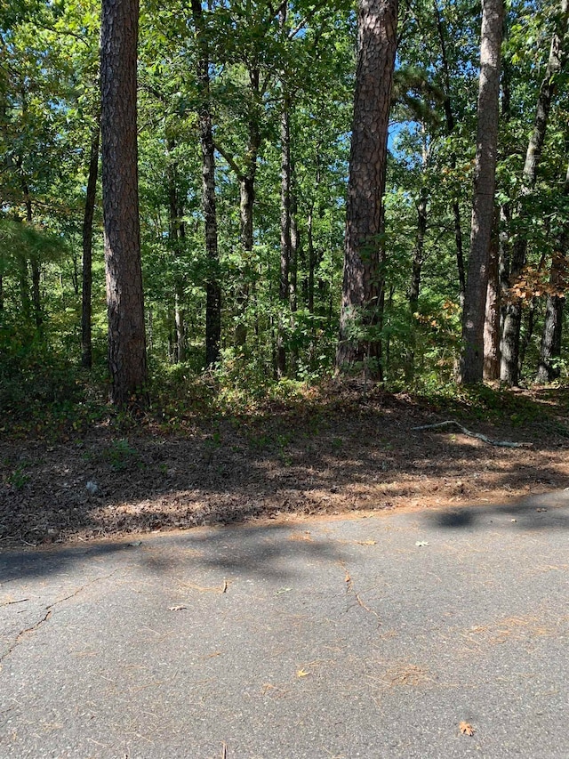 Listing photo 2 for 2 Fino Ln, Hot Springs Village AR 71909