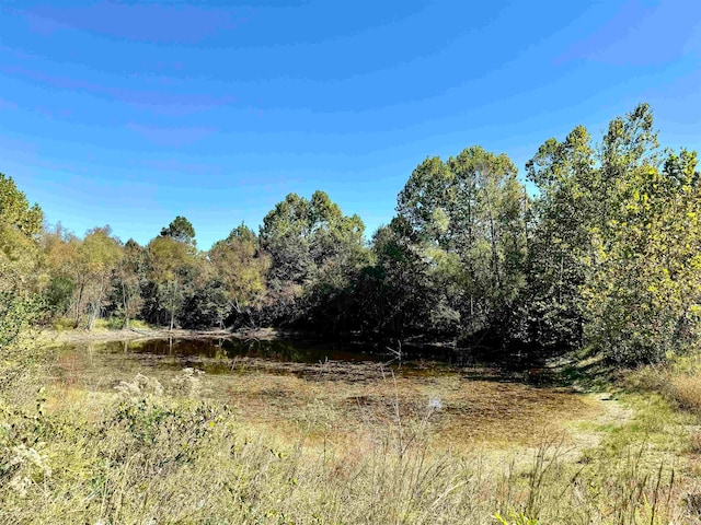 view of local wilderness