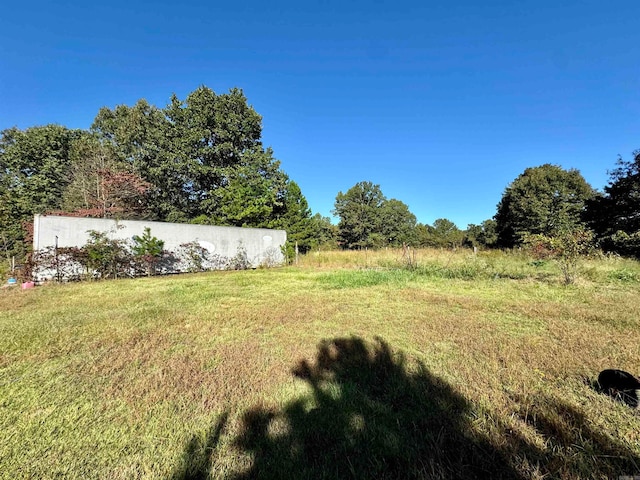 view of yard with a rural view