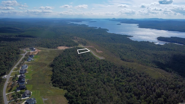 LOT29 Lakeview W Dr, Roland AR, 72135 land for sale