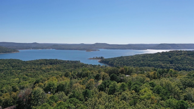 bird's eye view with a water and mountain view