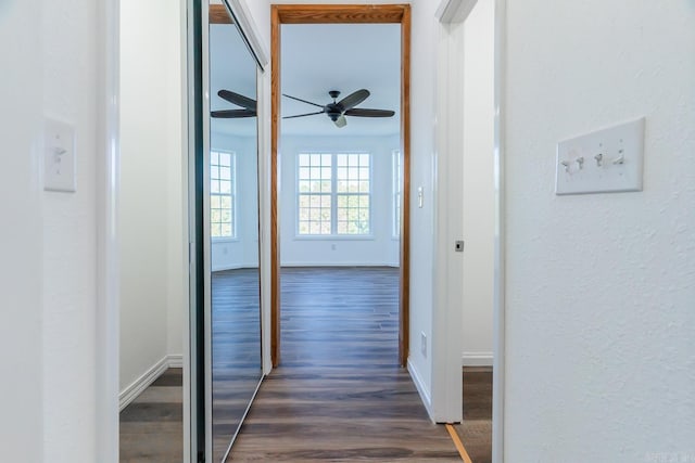 hallway with dark hardwood / wood-style floors