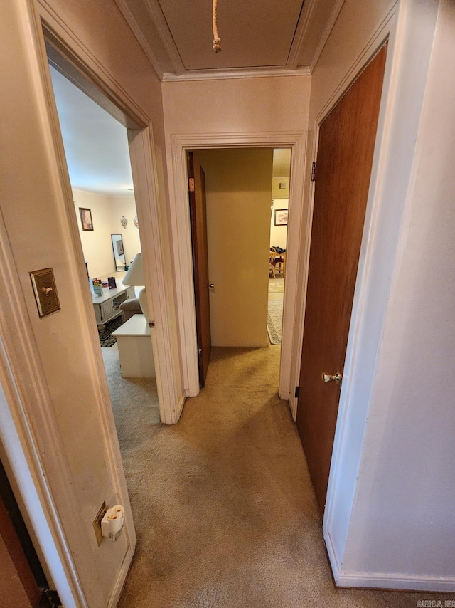 hall with light carpet and crown molding