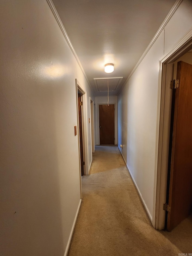 hall with light carpet and crown molding