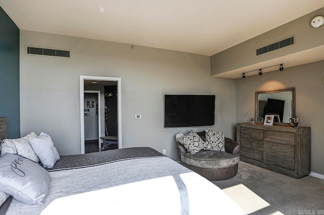 bedroom featuring carpet floors and rail lighting