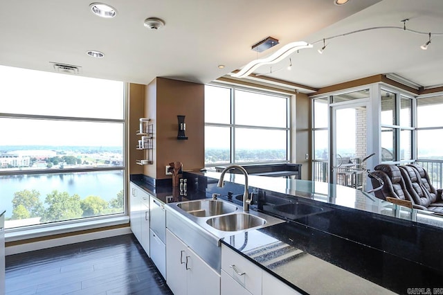 kitchen featuring white cabinets, sink, dark wood-type flooring, and a healthy amount of sunlight