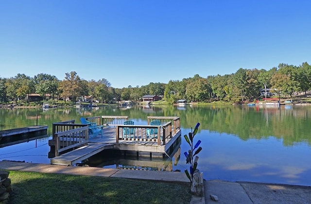 dock area with a water view