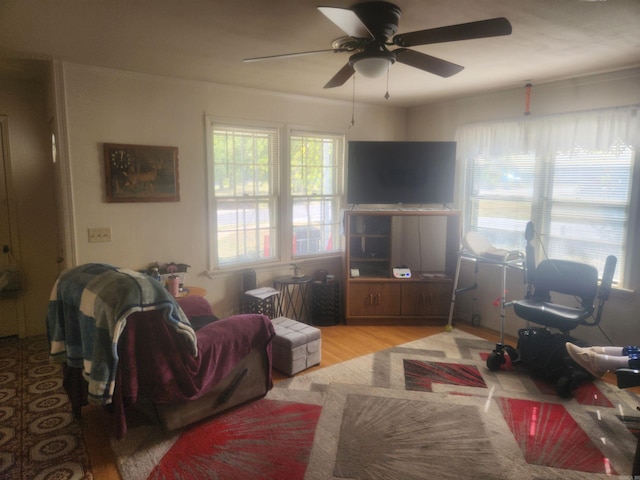 living room with ceiling fan and light hardwood / wood-style flooring