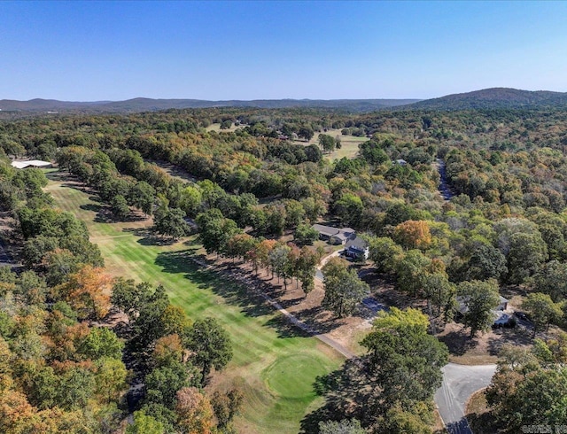 drone / aerial view with a mountain view