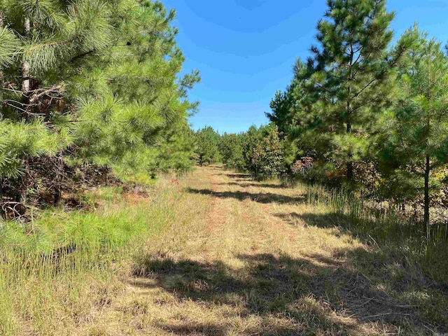 0000 Armstrong Rd, Pangburn AR, 72121 land for sale