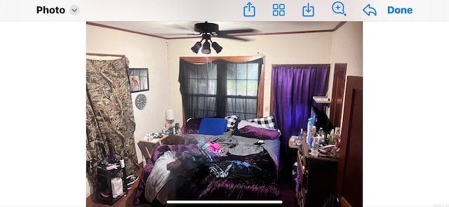 bedroom with ceiling fan and crown molding