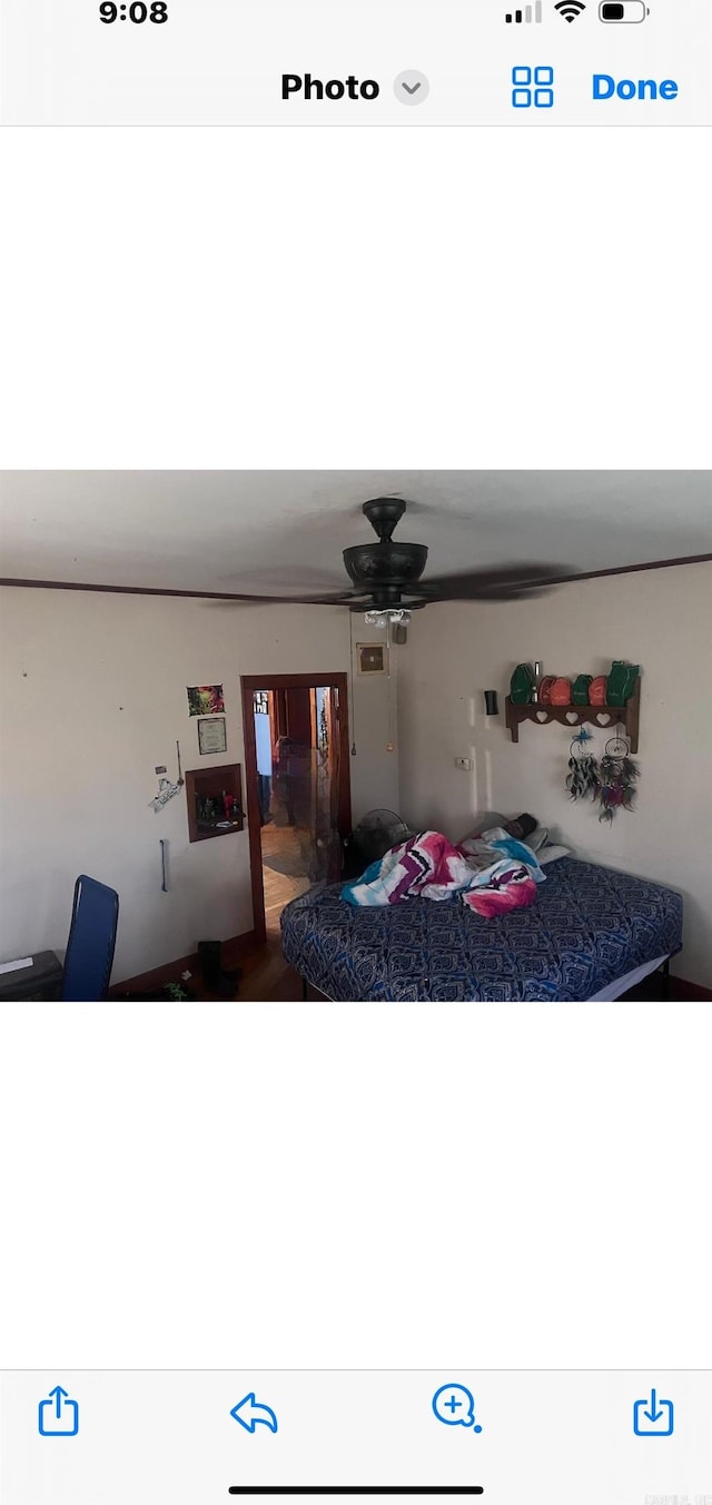 bedroom with ceiling fan