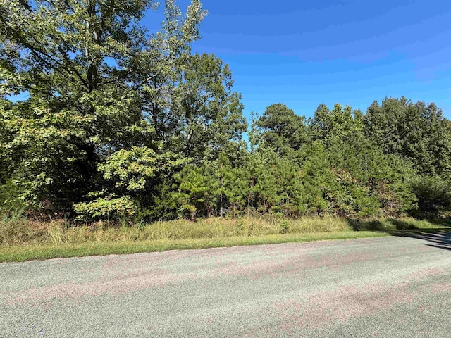 Listing photo 3 for LOT46 E Plantation Dr, Heber Springs AR 72543