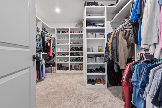 spacious closet with carpet floors