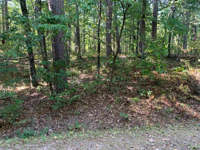 16 Guindola Way, Hot Springs Village AR, 71909 land for sale