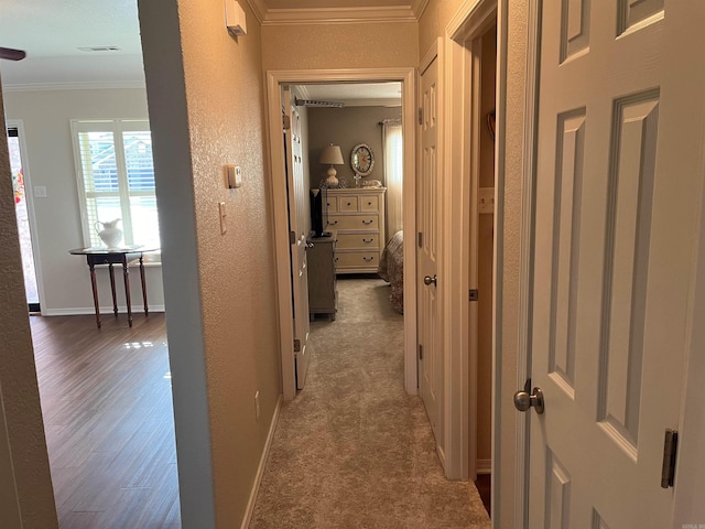 corridor with crown molding and dark hardwood / wood-style flooring