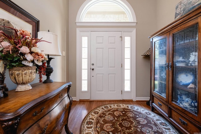 entrance foyer featuring dark hardwood / wood-style floors and a wealth of natural light