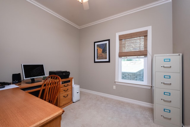 carpeted office with ceiling fan and ornamental molding