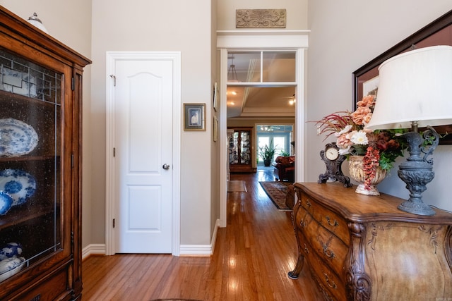 hallway with ornamental molding and hardwood / wood-style floors