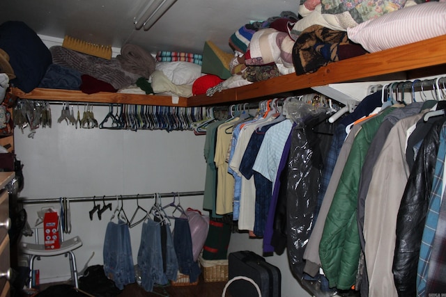 view of spacious closet